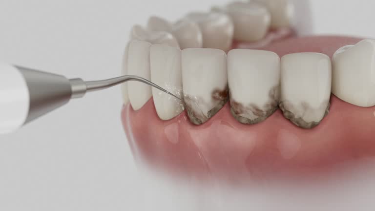 Reliable Dental contractor in Mannington, WV by Dentist Open Now